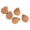 Healthy Benefits Dental Dog Food